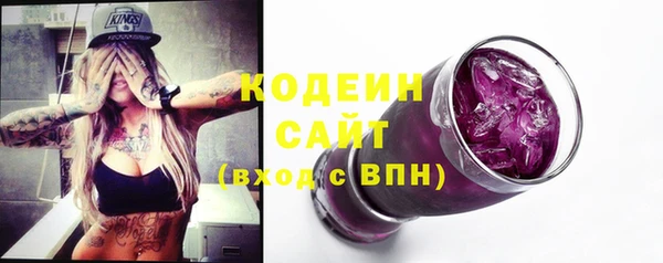 мдпв Гусь-Хрустальный