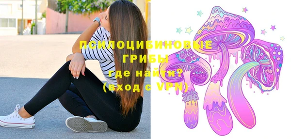 тгк Дмитровск
