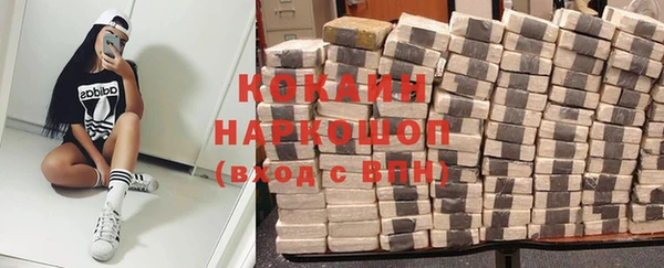 бошки Анива