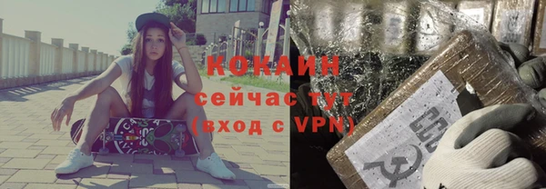 мдпв Гусь-Хрустальный