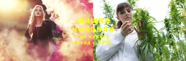 прущие грибы Гусев