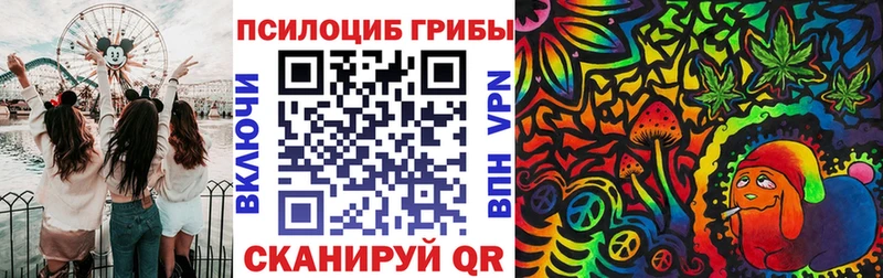 Галлюциногенные грибы мицелий  купить  сайты  Дедовск 