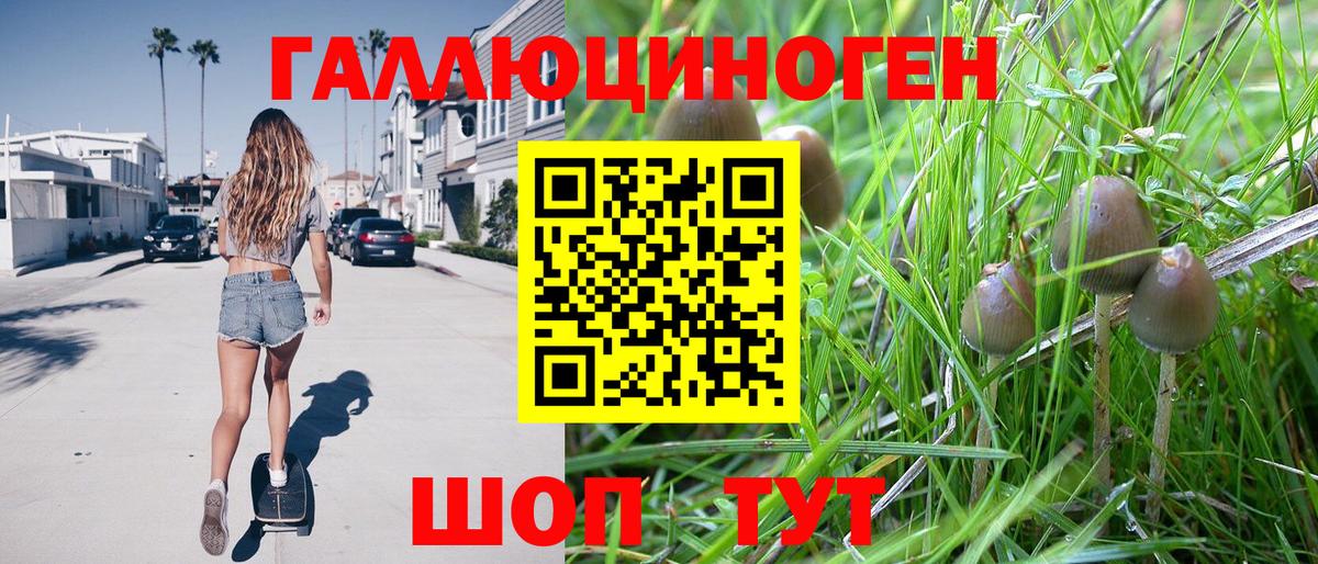 Галлюциногенные грибы GOLDEN TEACHER  Псилоцибиновые грибы ЛСД  Вход с VPN  Дедовск 