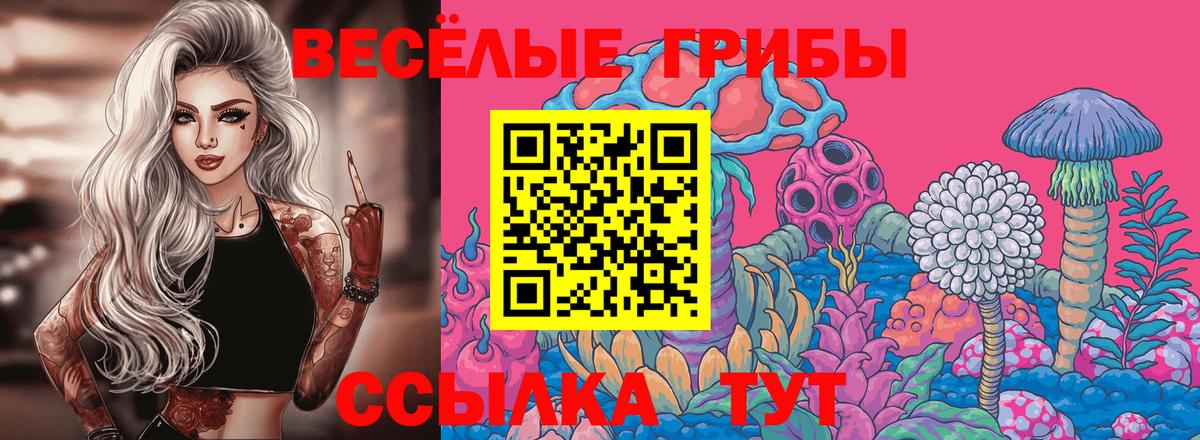 Псилоцибиновые грибы MAGIC MUSHROOMS Дедовск