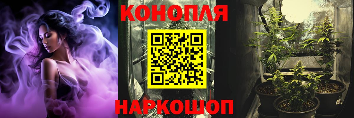 МАРИХУАНА планчик  Вход с VPN  Дедовск  МАРИХУАНА сатива 